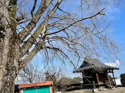 古泉馬頭観世音(栃木県)
