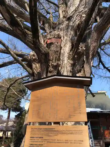 飛騨国分寺の自然