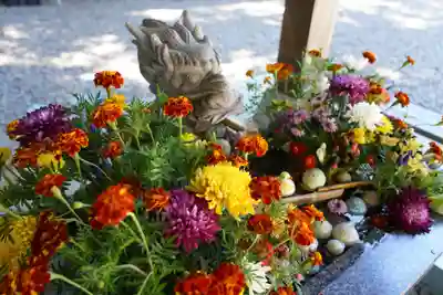 滑川神社 - 仕事と子どもの守り神の手水舎