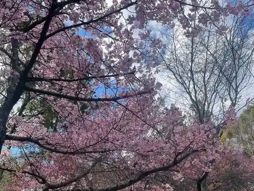 井伊谷宮の自然