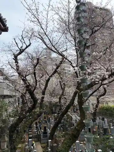 浄心寺の{uncategorized: "未分類", other: "その他", undefined: "問題あり", building: "その他建物", grave: "お墓", sacred_gate: "鳥居", guardian: "狛犬", statue: "像", buddha: "仏像", history: "歴史", nature: "自然", garden: "庭園", animal: "動物", pagoda: "塔", temizu: "手水舎", mountain_gate: "山門・神門", sanctuary: "本殿・本堂", subordinate: "末社・摂社", art: "芸術", scenery: "景色", jizo: "地蔵", ema: "絵馬", goshuin: "御朱印", omikuji: "おみくじ", items: "授与品その他", amulet: "お守り", goshuincho: "御朱印帳", eats: "食事", festival: "お祭り", votive_dance: "神楽", shichigosan: "七五三参", wedding: "結婚式", experience: "体験その他", initially: "初詣", around: "周辺", anti_infection: "感染症対策"}