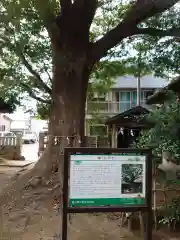 龍ケ崎八坂神社の建物その他