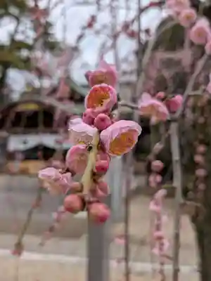 布多天神社(東京都)