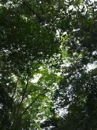 伊勢神宮外宮（豊受大神宮）(三重県)