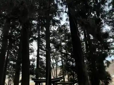 大宮温泉神社(栃木県)