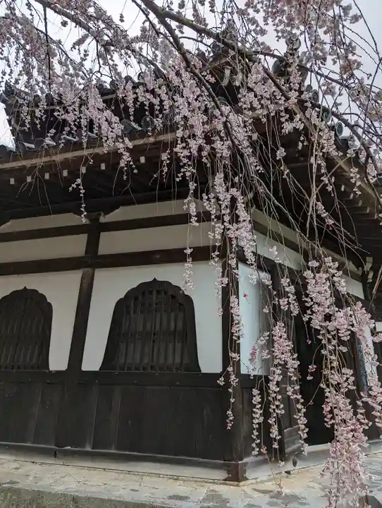善峯寺(京都府)