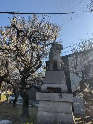 岡崎天満宮の狛犬