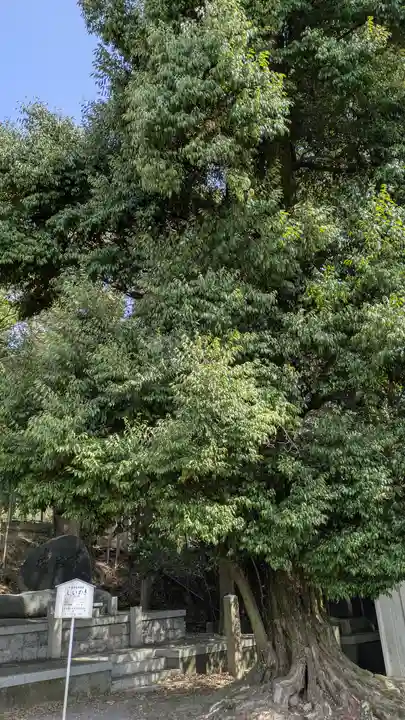 宇治神社(京都府)