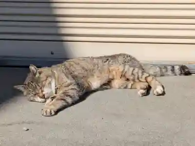 白金氷川神社(東京都)