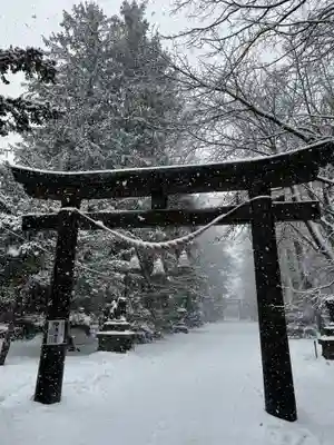 信濃神社の鳥居