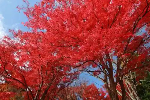 土津神社｜こどもと出世の神さまの自然