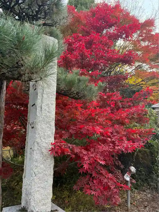 秩父御嶽神社(埼玉県)