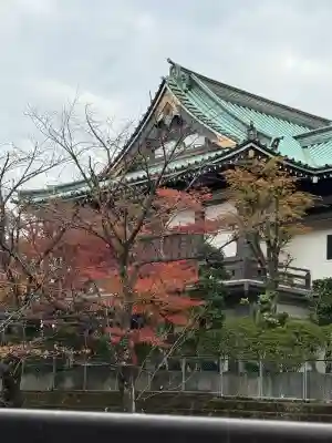 金剛寺(東京都)