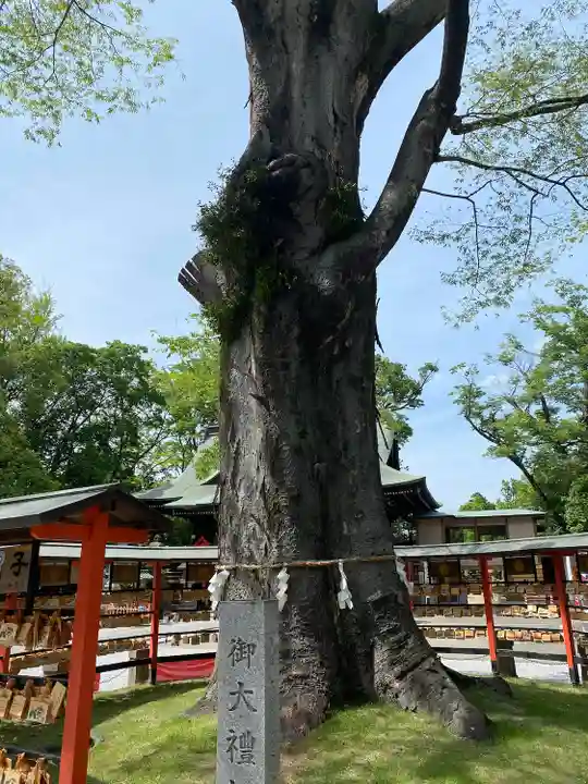 上野総社神社(群馬県)