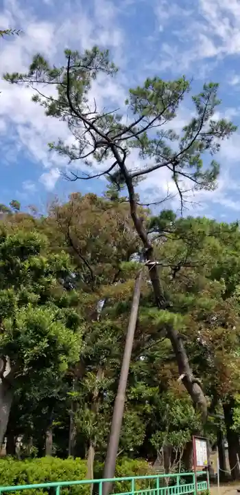 熊野神社の自然