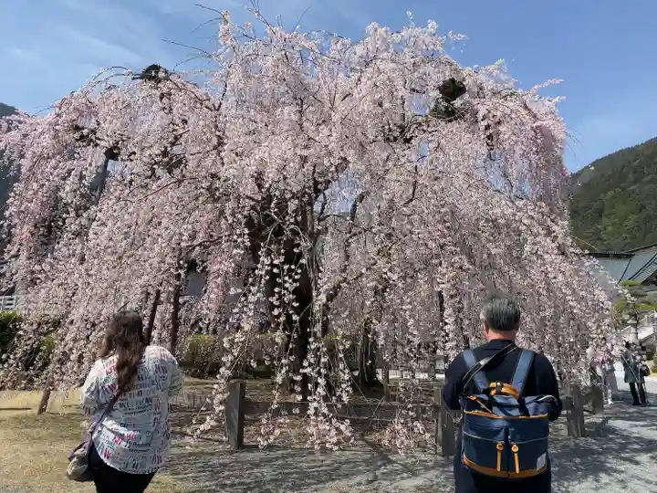 久遠寺(山梨県)