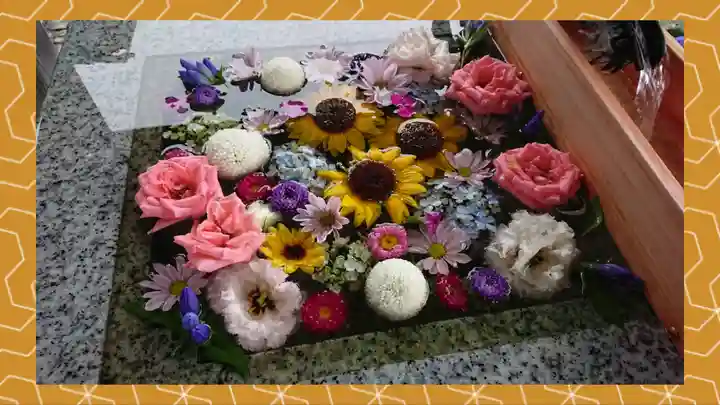 川越八幡宮(埼玉県)