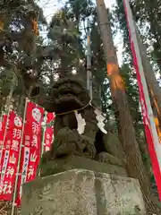 羽黒山神社の狛犬