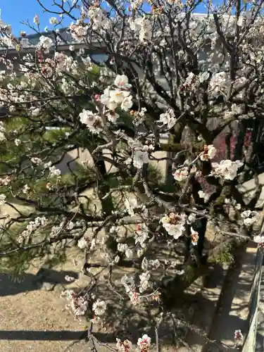 弓弦羽神社の{uncategorized: "未分類", other: "その他", undefined: "問題あり", building: "その他建物", grave: "お墓", sacred_gate: "鳥居", guardian: "狛犬", statue: "像", buddha: "仏像", history: "歴史", nature: "自然", garden: "庭園", animal: "動物", pagoda: "塔", temizu: "手水舎", mountain_gate: "山門・神門", sanctuary: "本殿・本堂", subordinate: "末社・摂社", art: "芸術", scenery: "景色", jizo: "地蔵", ema: "絵馬", goshuin: "御朱印", omikuji: "おみくじ", items: "授与品その他", amulet: "お守り", goshuincho: "御朱印帳", eats: "食事", festival: "お祭り", votive_dance: "神楽", shichigosan: "七五三参", wedding: "結婚式", experience: "体験その他", initially: "初詣", around: "周辺", anti_infection: "感染症対策"}