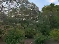 延命院(千葉県)