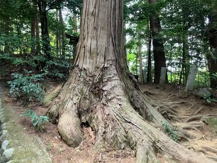 塩船神明社の{uncategorized: "未分類", other: "その他", undefined: "問題あり", building: "その他建物", grave: "お墓", sacred_gate: "鳥居", guardian: "狛犬", statue: "像", buddha: "仏像", history: "歴史", nature: "自然", garden: "庭園", animal: "動物", pagoda: "塔", temizu: "手水舎", mountain_gate: "山門・神門", sanctuary: "本殿・本堂", subordinate: "末社・摂社", art: "芸術", scenery: "景色", jizo: "地蔵", ema: "絵馬", goshuin: "御朱印", omikuji: "おみくじ", items: "授与品その他", amulet: "お守り", goshuincho: "御朱印帳", eats: "食事", festival: "お祭り", votive_dance: "神楽", shichigosan: "七五三参", wedding: "結婚式", experience: "体験その他", initially: "初詣", around: "周辺", anti_infection: "感染症対策"}