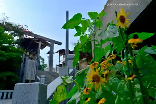 伊勢山皇大神宮(神奈川県)