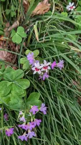 玉田神社(京都府)