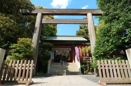 東京大神宮の鳥居