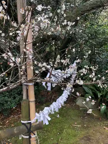 烏帽子嶽神社のおみくじ