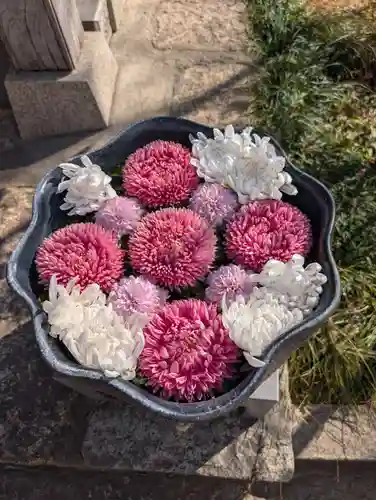 法輪寺(東京都)