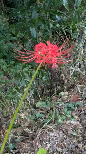 寂光院(京都府)