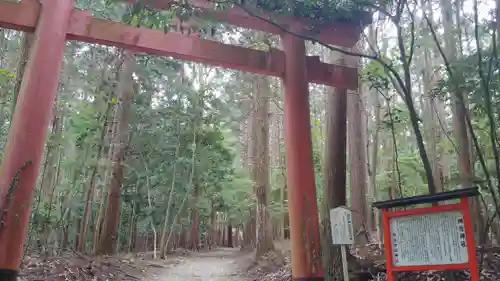 御蔭神社の鳥居