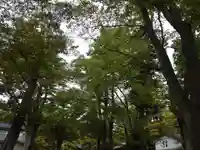 金峯神社(新潟県)