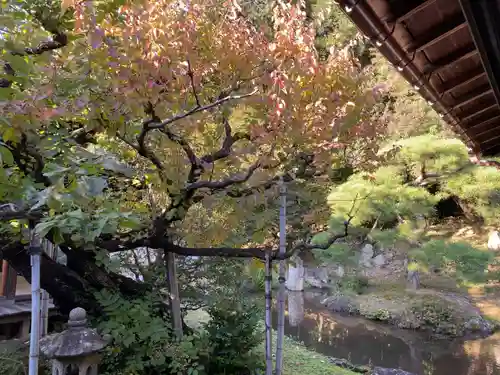 大善寺の庭園