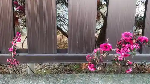 立浪稲荷大明神の自然