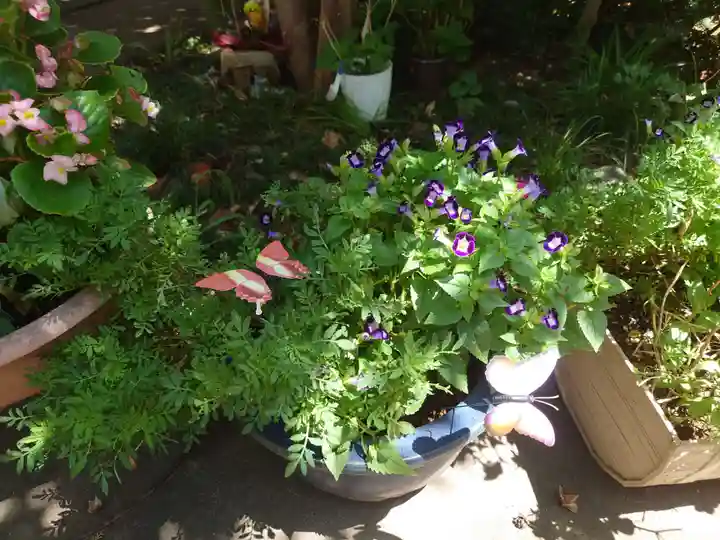 馬場氷川神社の自然