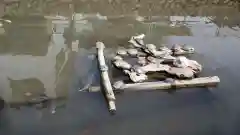 厳島神社の動物