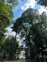 布多天神社(東京都)