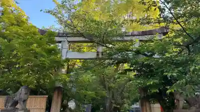 安井金比羅宮の{uncategorized: "未分類", other: "その他", undefined: "問題あり", building: "その他建物", grave: "お墓", sacred_gate: "鳥居", guardian: "狛犬", statue: "像", buddha: "仏像", history: "歴史", nature: "自然", garden: "庭園", animal: "動物", pagoda: "塔", temizu: "手水舎", mountain_gate: "山門・神門", sanctuary: "本殿・本堂", subordinate: "末社・摂社", art: "芸術", scenery: "景色", jizo: "地蔵", ema: "絵馬", goshuin: "御朱印", omikuji: "おみくじ", items: "授与品その他", amulet: "お守り", goshuincho: "御朱印帳", eats: "食事", festival: "お祭り", votive_dance: "神楽", shichigosan: "七五三参", wedding: "結婚式", experience: "体験その他", initially: "初詣", around: "周辺", anti_infection: "感染症対策"}