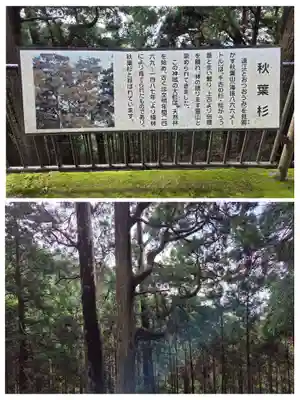 秋葉山本宮 秋葉神社 上社(静岡県)