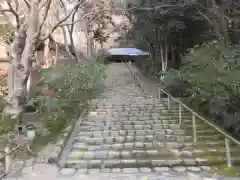 室生寺の建物その他