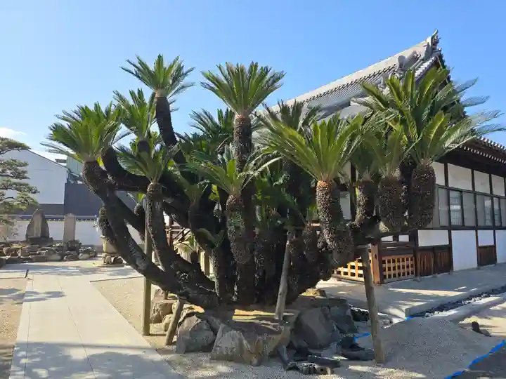 光明寺(大阪府)