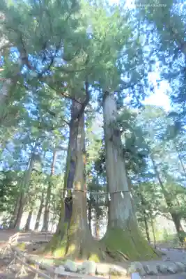 河口浅間神社(山梨県)