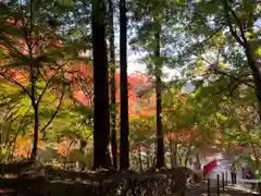 普門寺(切り絵御朱印発祥の寺)(愛知県)