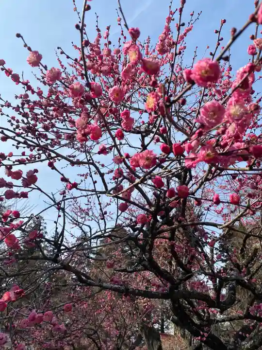 芳賀天満宮(栃木県)