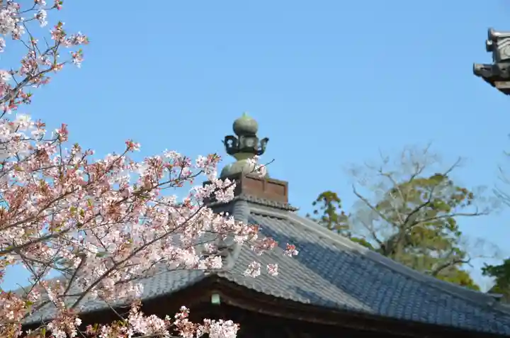本山専修寺(三重県)