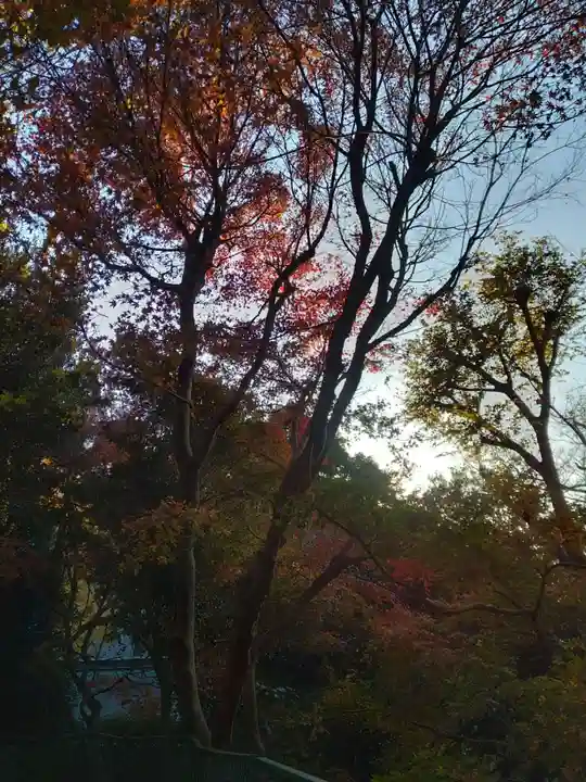 光明寺(神奈川県)