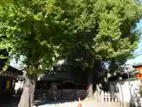 天道神社の自然