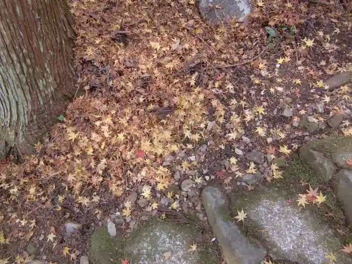 大矢田神社(岐阜県)