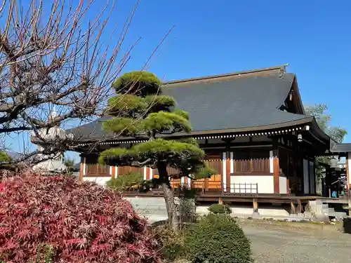長谷寺の本殿・本堂